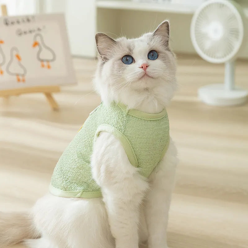 Cat wearing bear patch knitted clothing with hollowed-out breathable design in blue colour