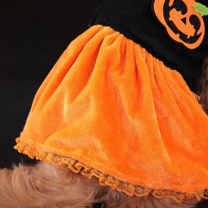 Halloween pumpkin skirt and sweater pet costumes in crystal velvet for small dogs and cats