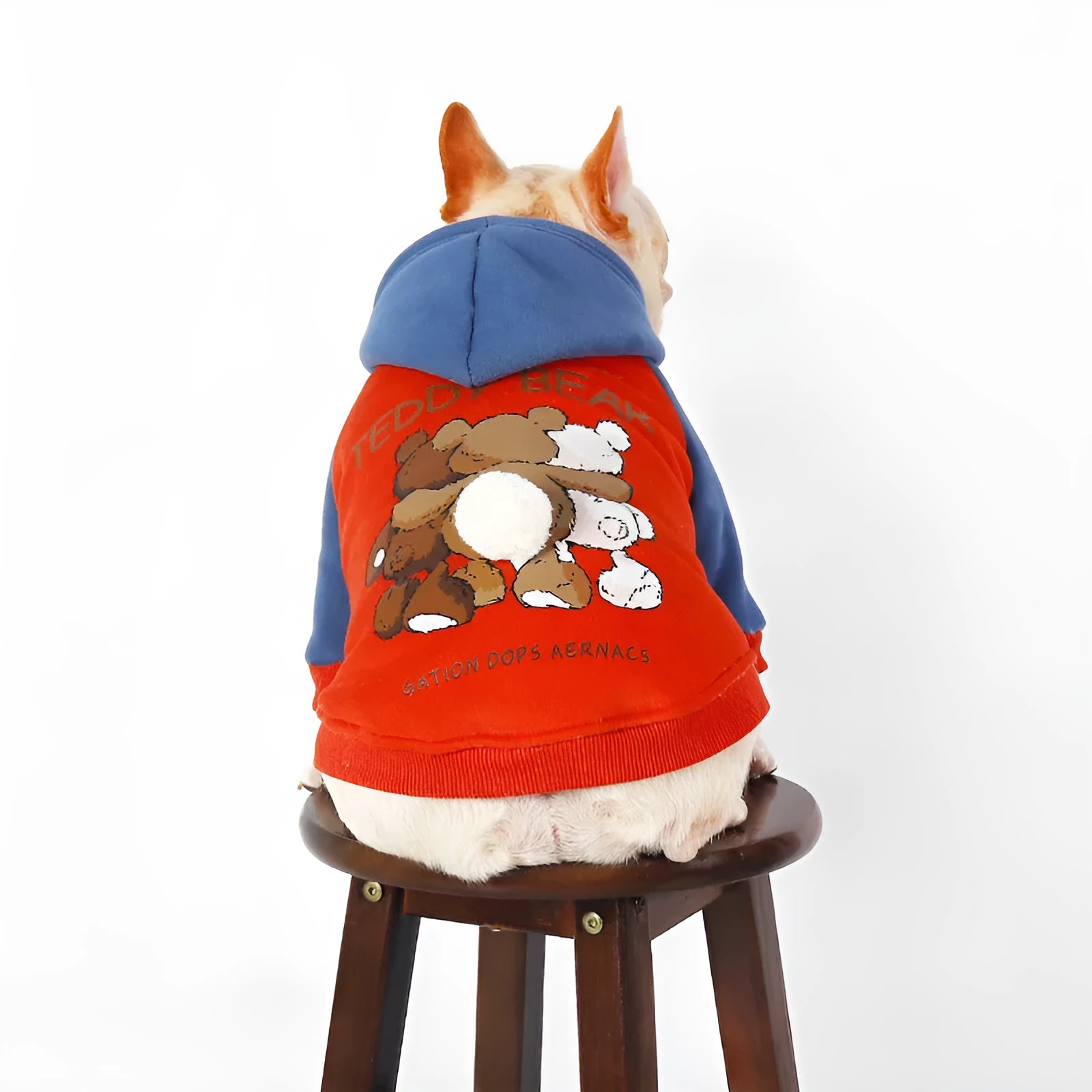 Red cotton dog clothing for small and medium breeds including Teddy and Corgi in autumn winter design