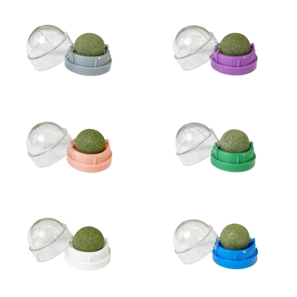 Plastic catnip ball toy in various colours with textured surface for molar teeth cleaning