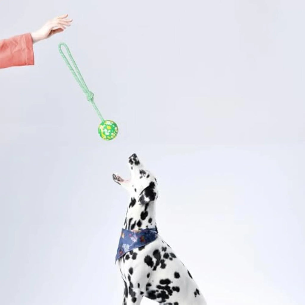 Natural rubber dog ball attached to bamboo fibre rope toy for medium small dogs interactive play