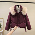 Women's short cotton-padded jacket with stand-up collar in claret, brown, black or white colour options