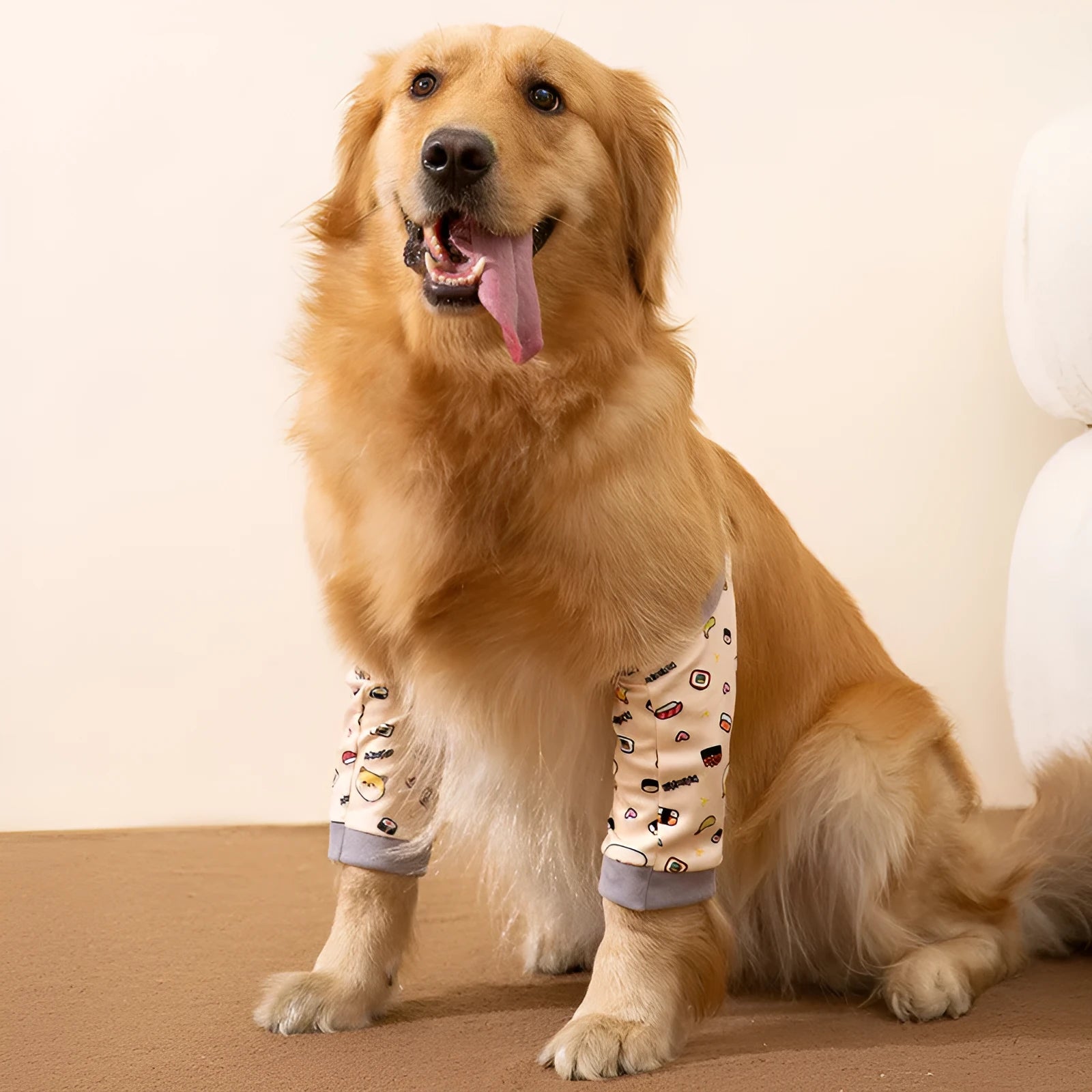Adjustable dog knee protector pad with elbow support and matching scarf in blue, grey or yellow