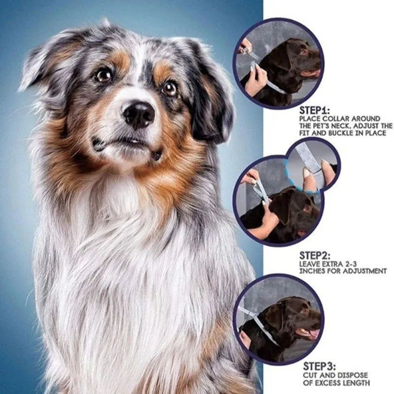 Rainbow plastic flea collar for cats and dogs, showing 38cm and 62cm sizes.