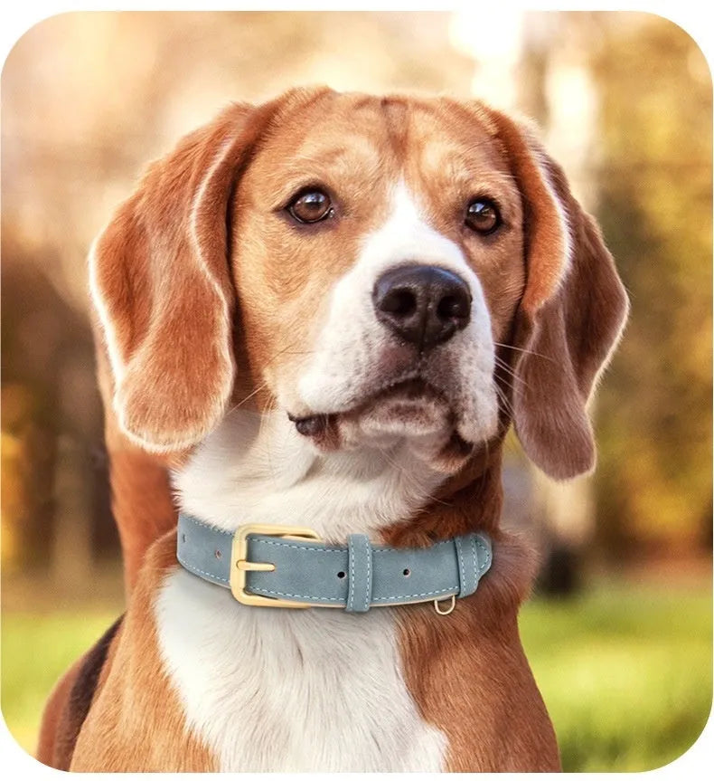 A rose red double-layer leather dog collar and matching traction rope laid flat.