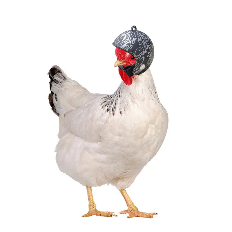 Small plastic chicken pet helmet in one of twelve designs including rainbow, plaid, or smiling face.