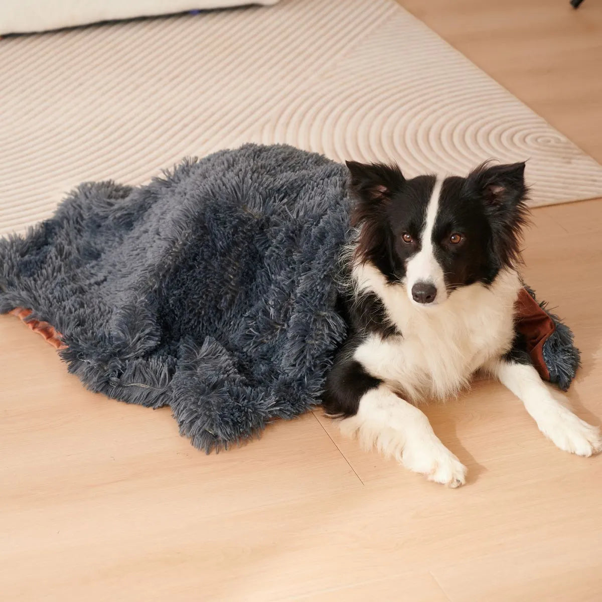 Grey velvet and plush pet blanket serving as dog bed and sofa cover with four size options