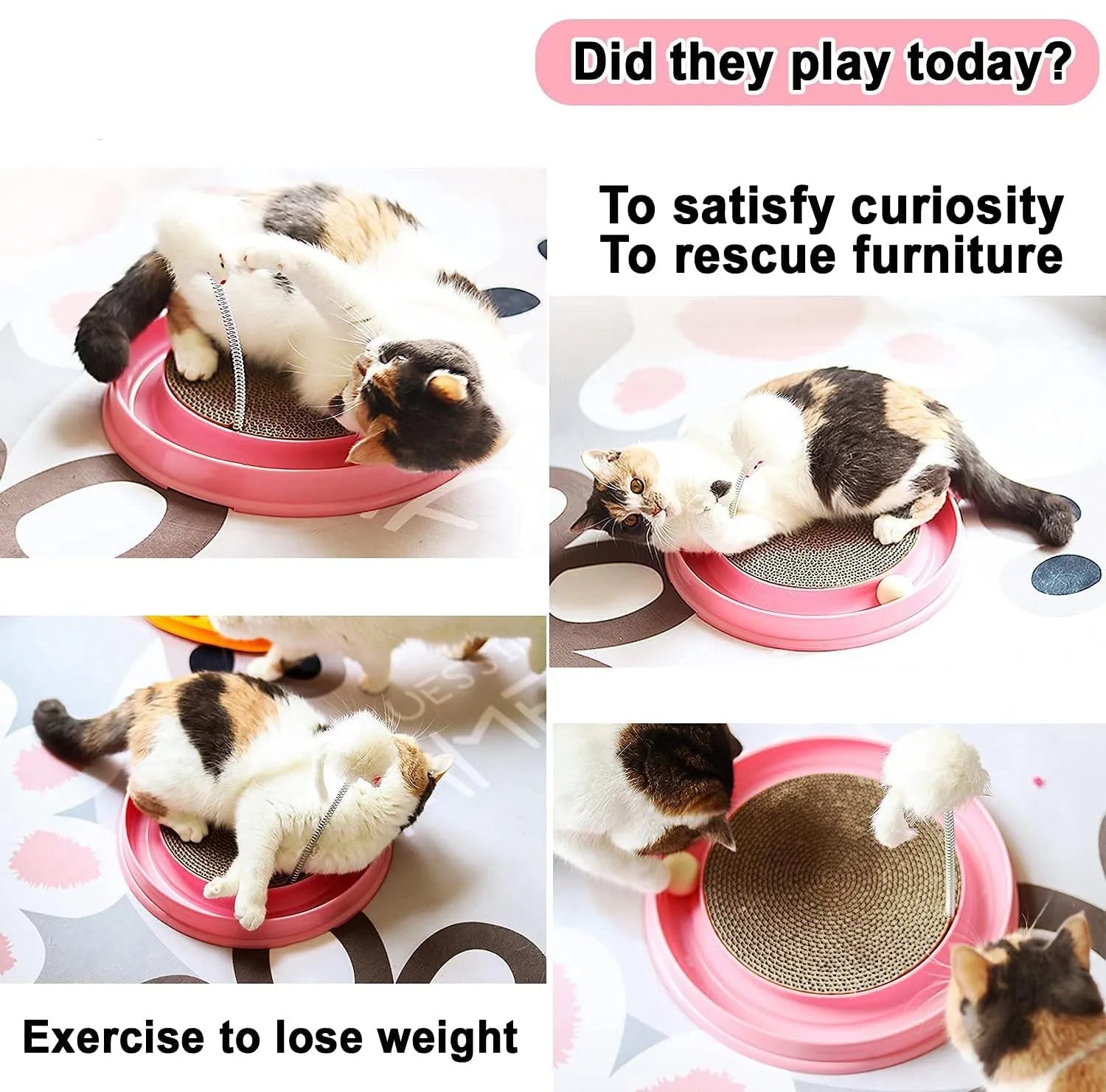 Circular cat scratcher toy with replaceable centre pad and ball track channel