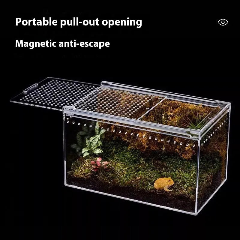Clear acrylic reptile feeding box with crawl-through opening showing size options