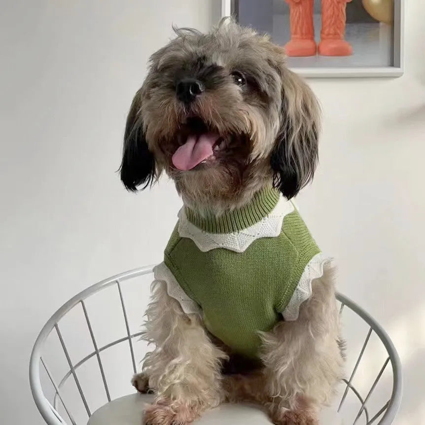 Green knitted sleeveless dog sweater vest with flower pattern on a small dog.