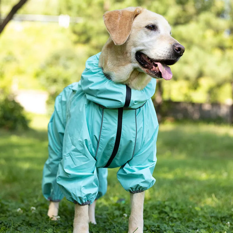 Dog wearing red cotton-padded shell jacket with sports style design