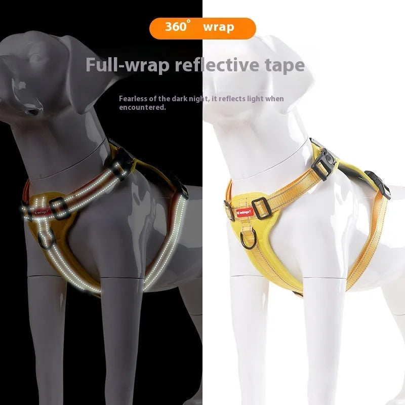 Polyester dog chest harness and lead set in various colours including red, blue, and yellow.