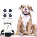 G12 GPS pet locator in ABS PC casing for cat and dog anti-lost tracking