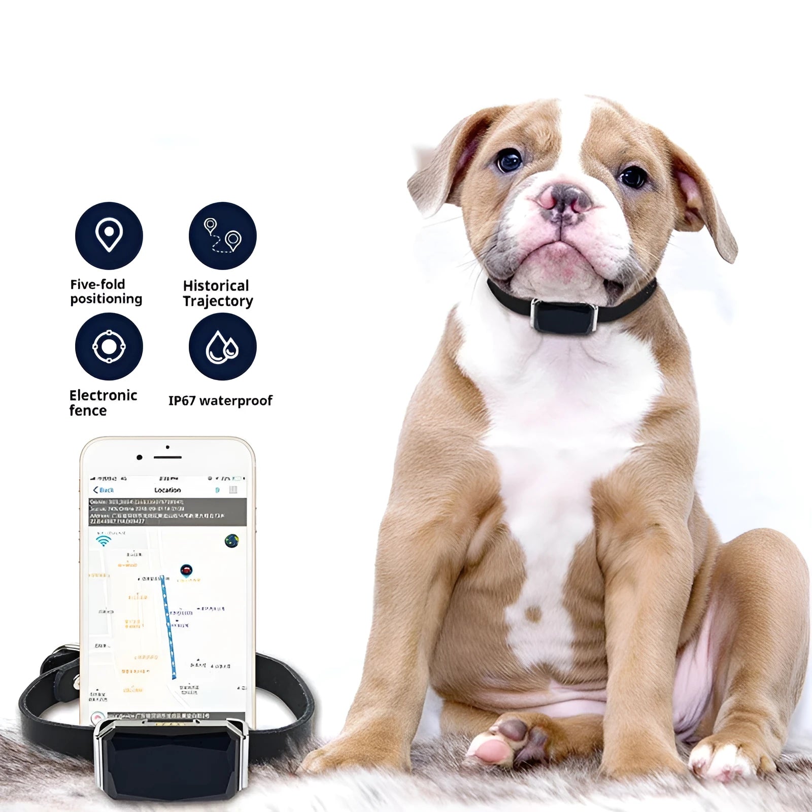 G12 GPS pet locator in ABS PC casing for cat and dog anti-lost tracking