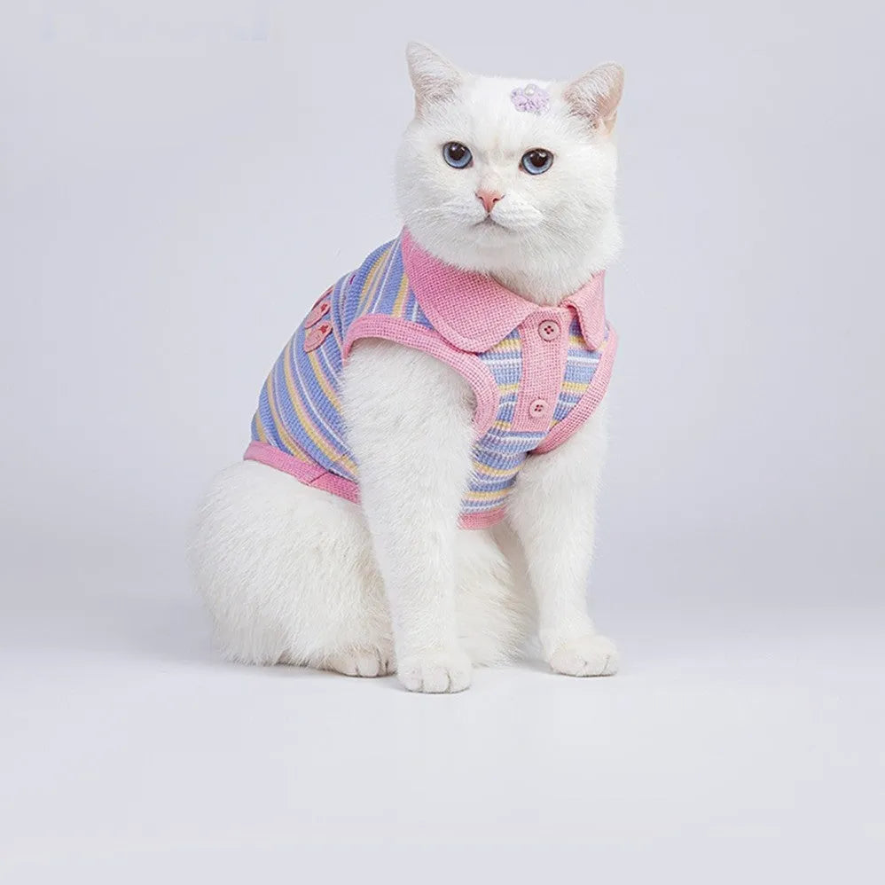 Pink purple vest for a small dog, shown as an autumn coat.