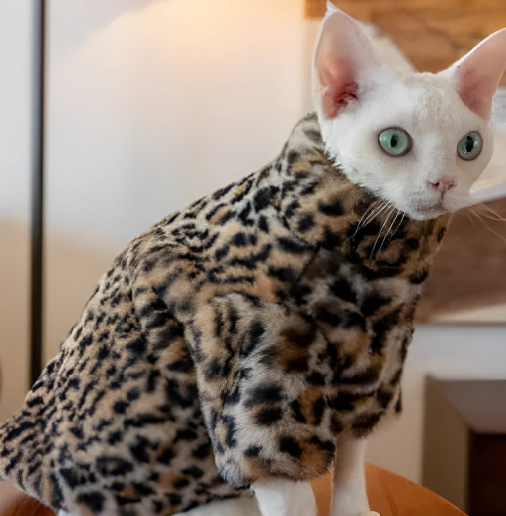 Fluffy leopard pattern short plush cat coat for hairless breeds on a Sphynx cat