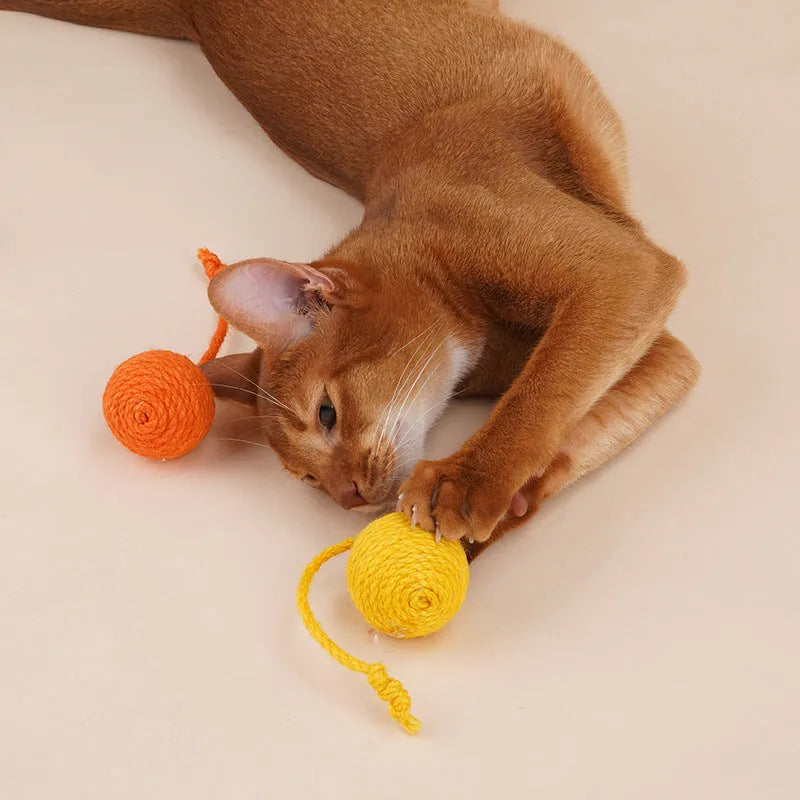 Cat teaser toy stick set with bite-resistant catnip ball measuring 255mm with blue, green, red yellow blue colour options