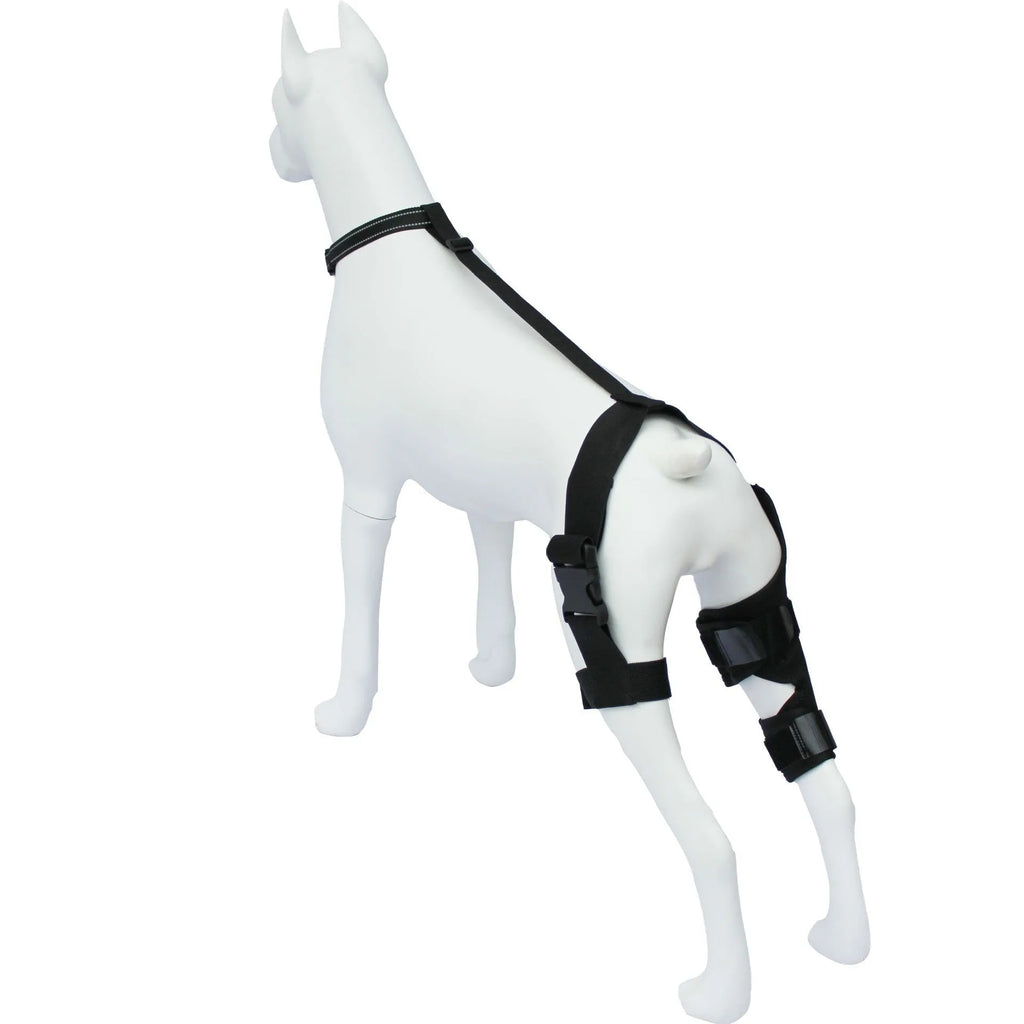 A neoprene dog hind leg knee brace assist strap shown in sky blue, wrapped around a canine leg model.