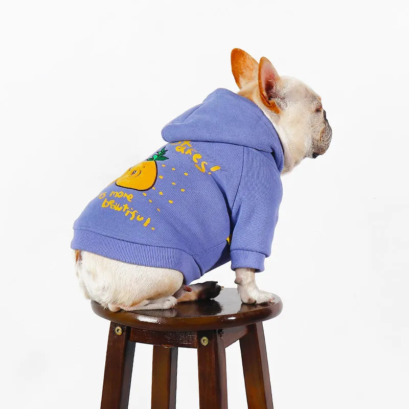 Blue and purple cartoon printed cotton pet hoodie for winter wear