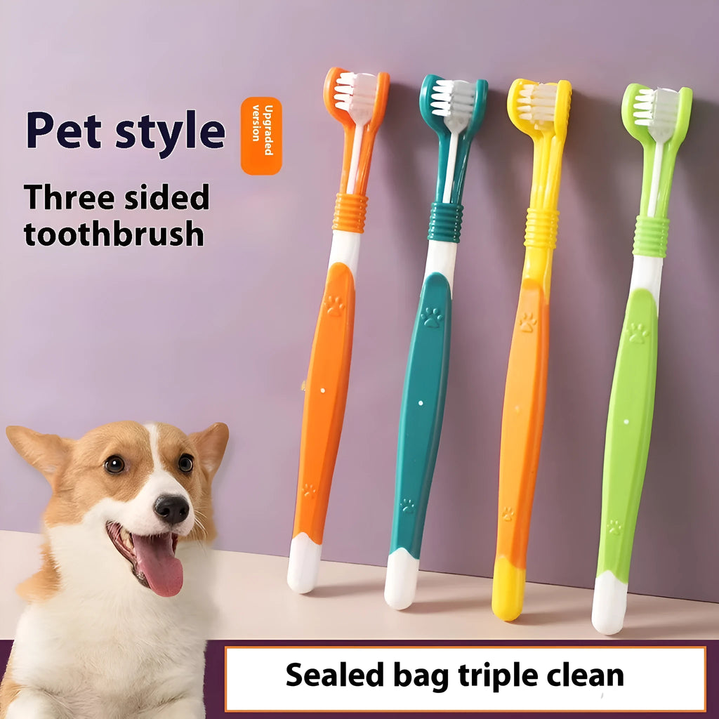 Pet toothbrush in orange, green, yellow, blue pink, black yellow or dark green colours with plastic handle and nylon bristles