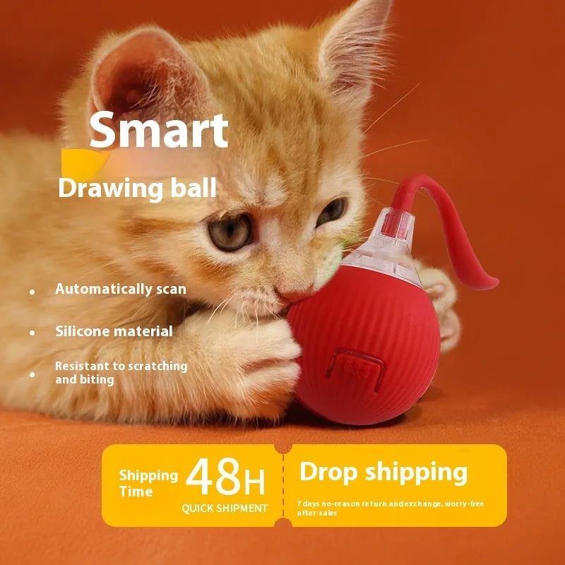 Interactive electronic cat toy ball with coloured indicator lights for different play modes
