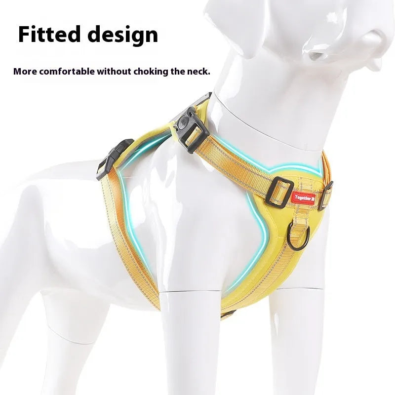 Polyester dog chest harness and lead set in various colours including red, blue, and yellow.