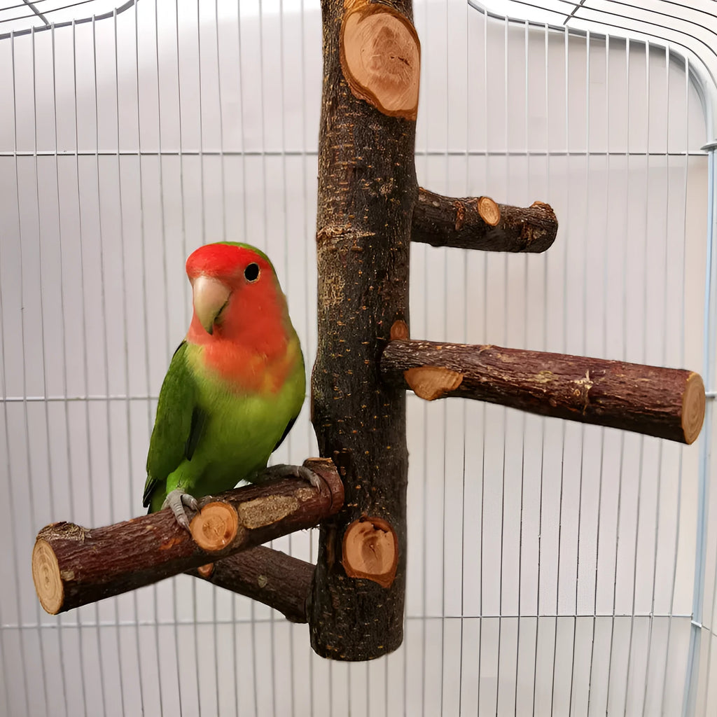 Apple wood parrot stand toy with bite string and natural colour perches