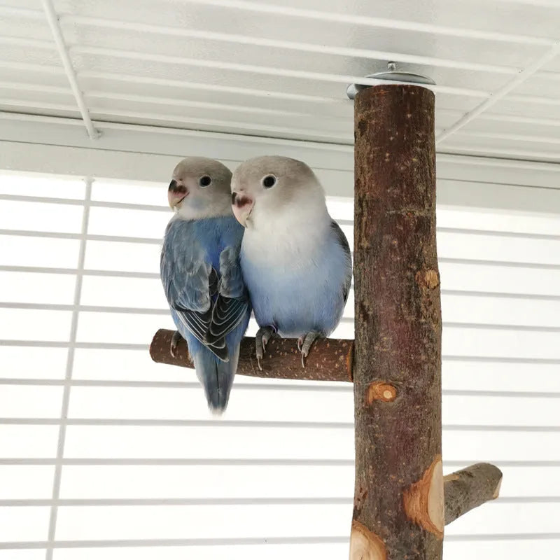 Apple wood parrot stand toy with bite string and natural colour perches