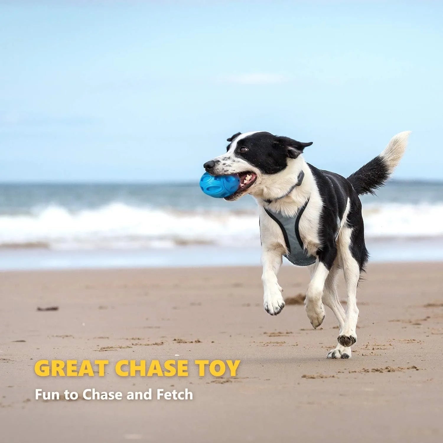 Blue green orange rubber squeaky dog chew toy for medium large breed aggressive chewers