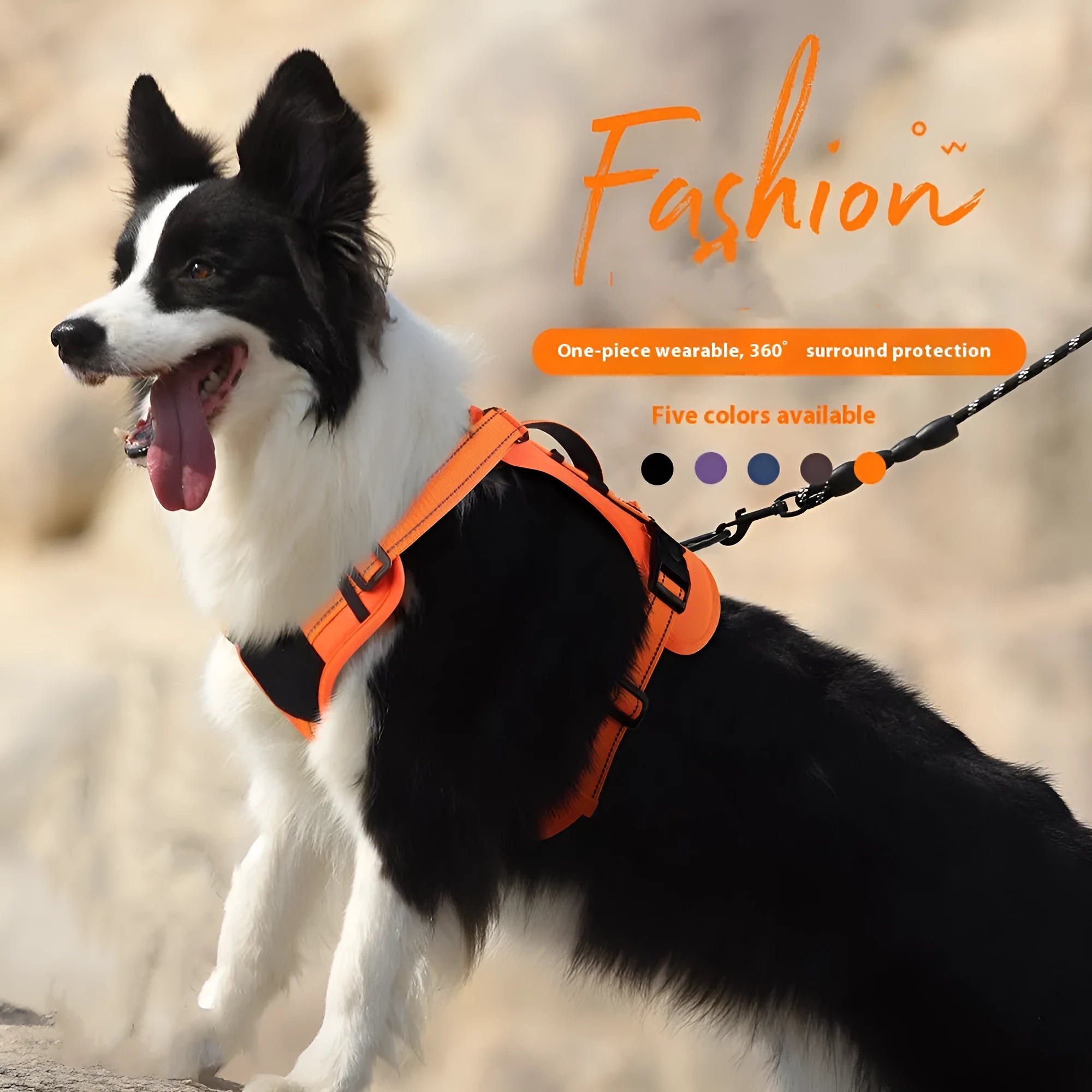 Orange reflective dog harness with an attached black hand-holding rope, shown on a medium-sized dog.
