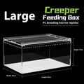 Clear acrylic reptile feeding box with crawl-through opening showing size options