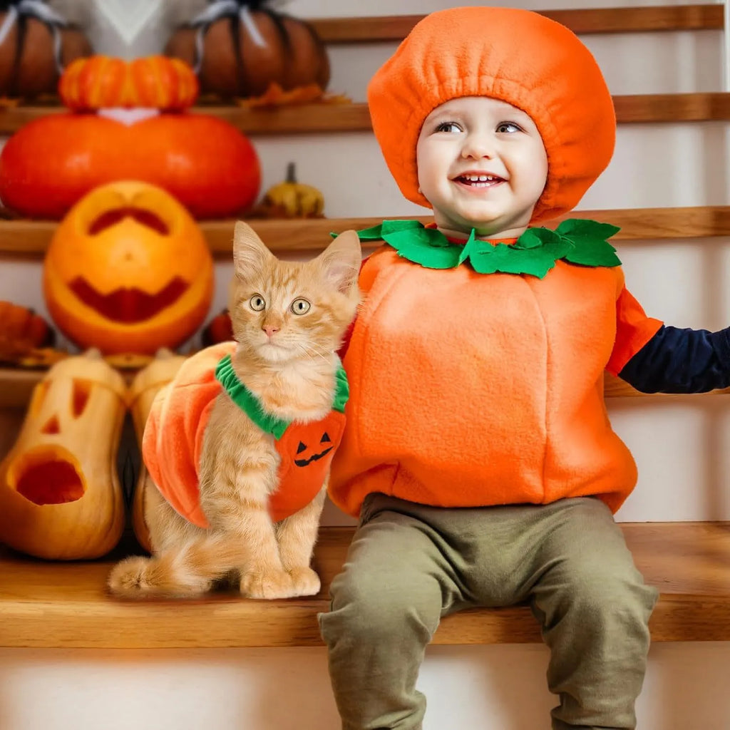 Orange plush pumpkin-shaped Halloween costume for a small dog, showing pullover design and soft texture.