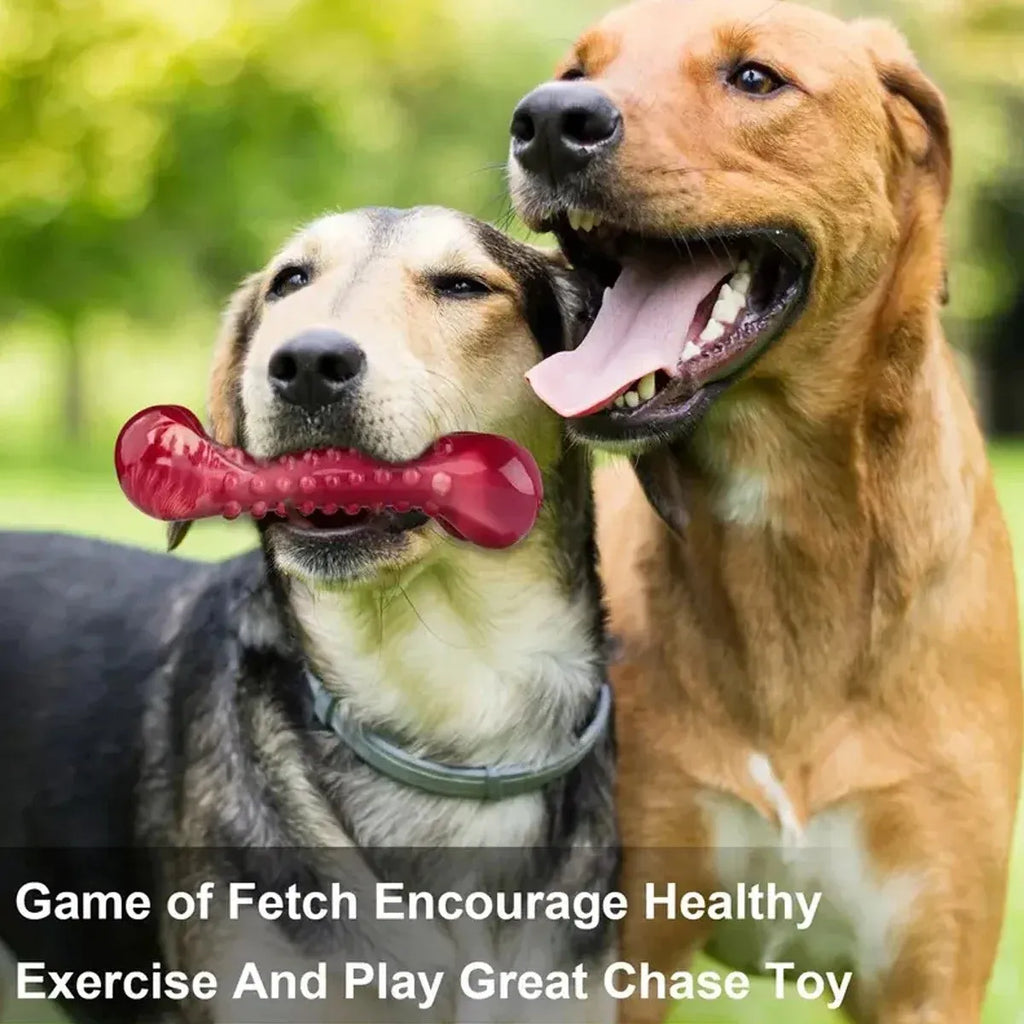 Natural rubber chew toy for aggressive dog chewing and heavy-duty use