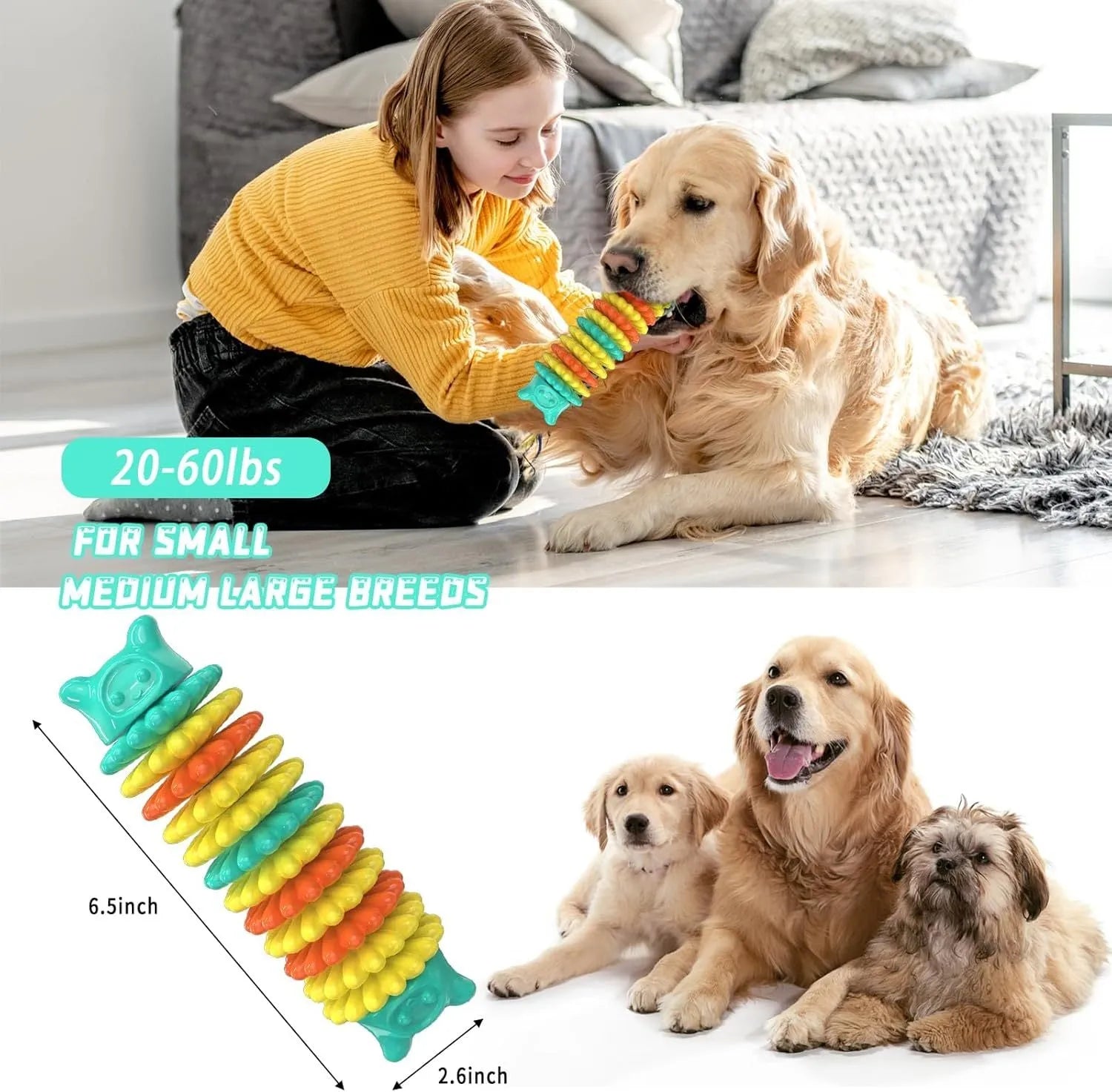 Blue rubber caterpillar-shaped dog chew toy for aggressive chewers on a plain background.