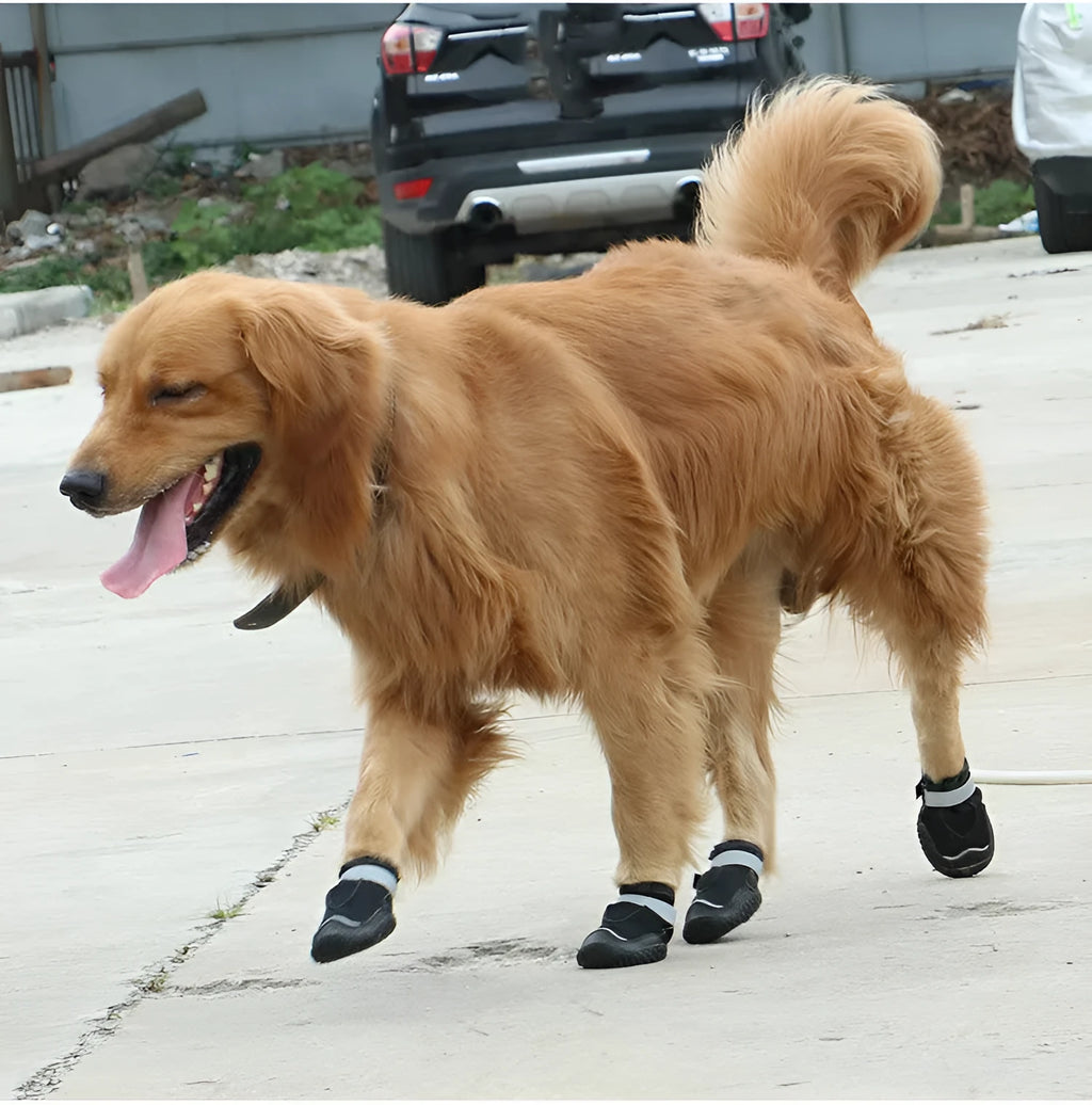Grey wear-resistant breathable pet shoes with reflective tape and rubber outsole for dogs