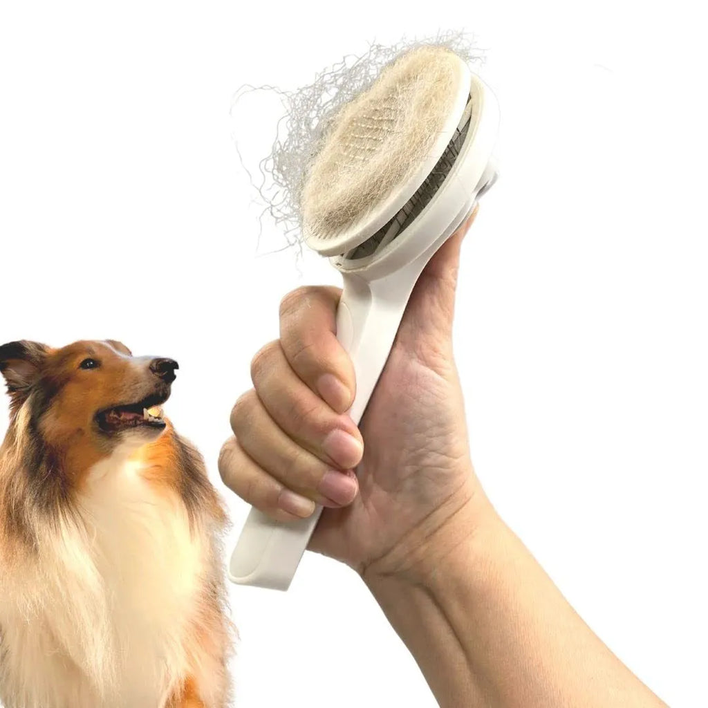 Self-cleaning pet grooming brush with stainless steel tips and blue rubber handle