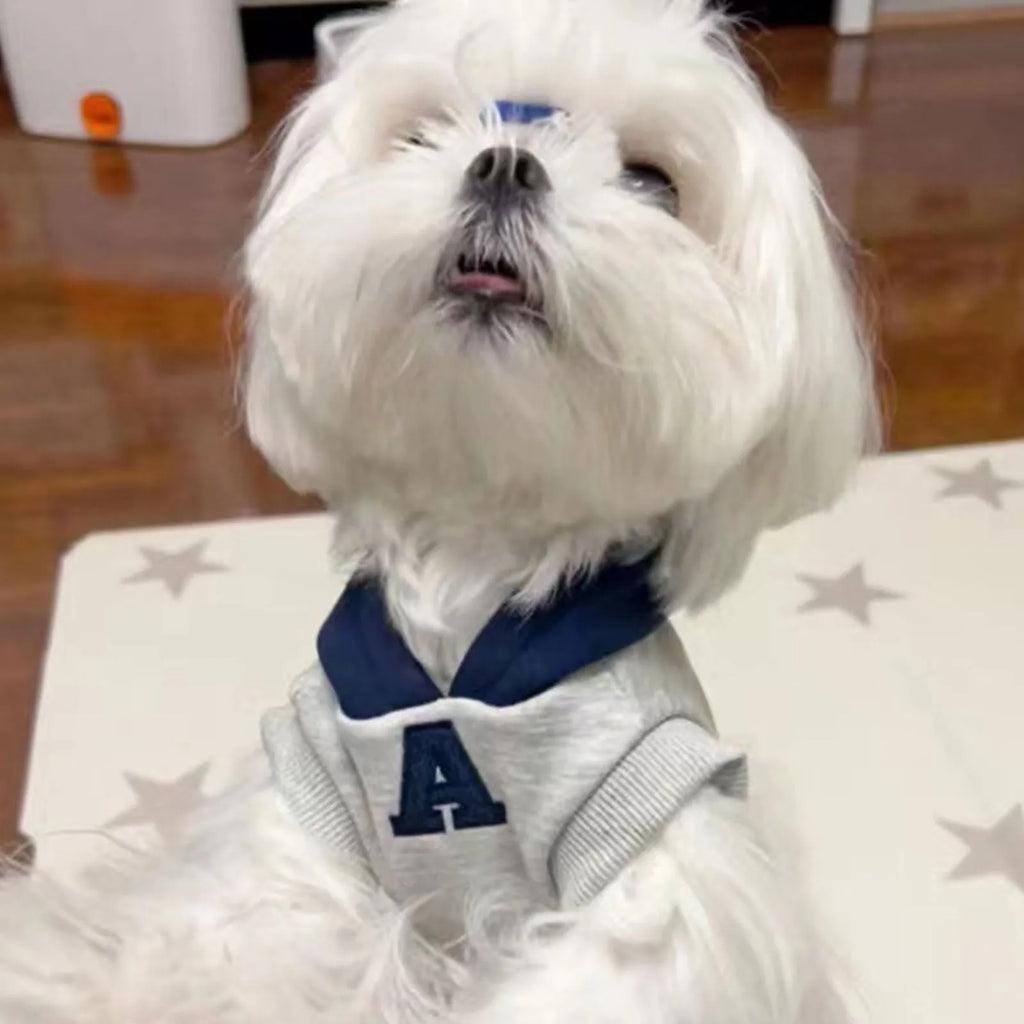 Blue and grey white pet hoodie with reflective letters for cats and dogs in slim-fitting casual style