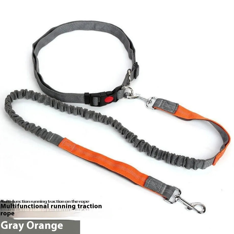Grey and blue nylon dog leash with reflective filament and 2.5cm width.