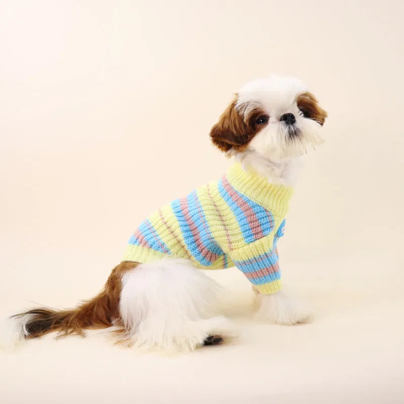 Blue and yellow striped wool knit sweater for a small dog on a white background.