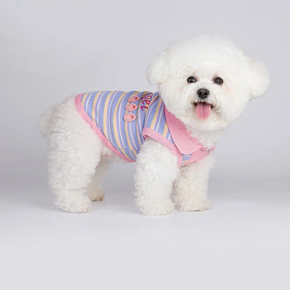 Pink purple vest for a small dog, shown as an autumn coat.