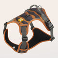 Orange dog harness with reflective strips and an integrated hand-holding rope on a dog's chest and back.