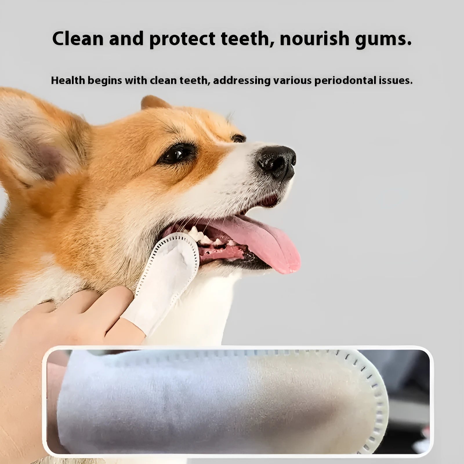 Pack of 50 white non-woven fabric pet dental cleaning finger cots for cats and dogs