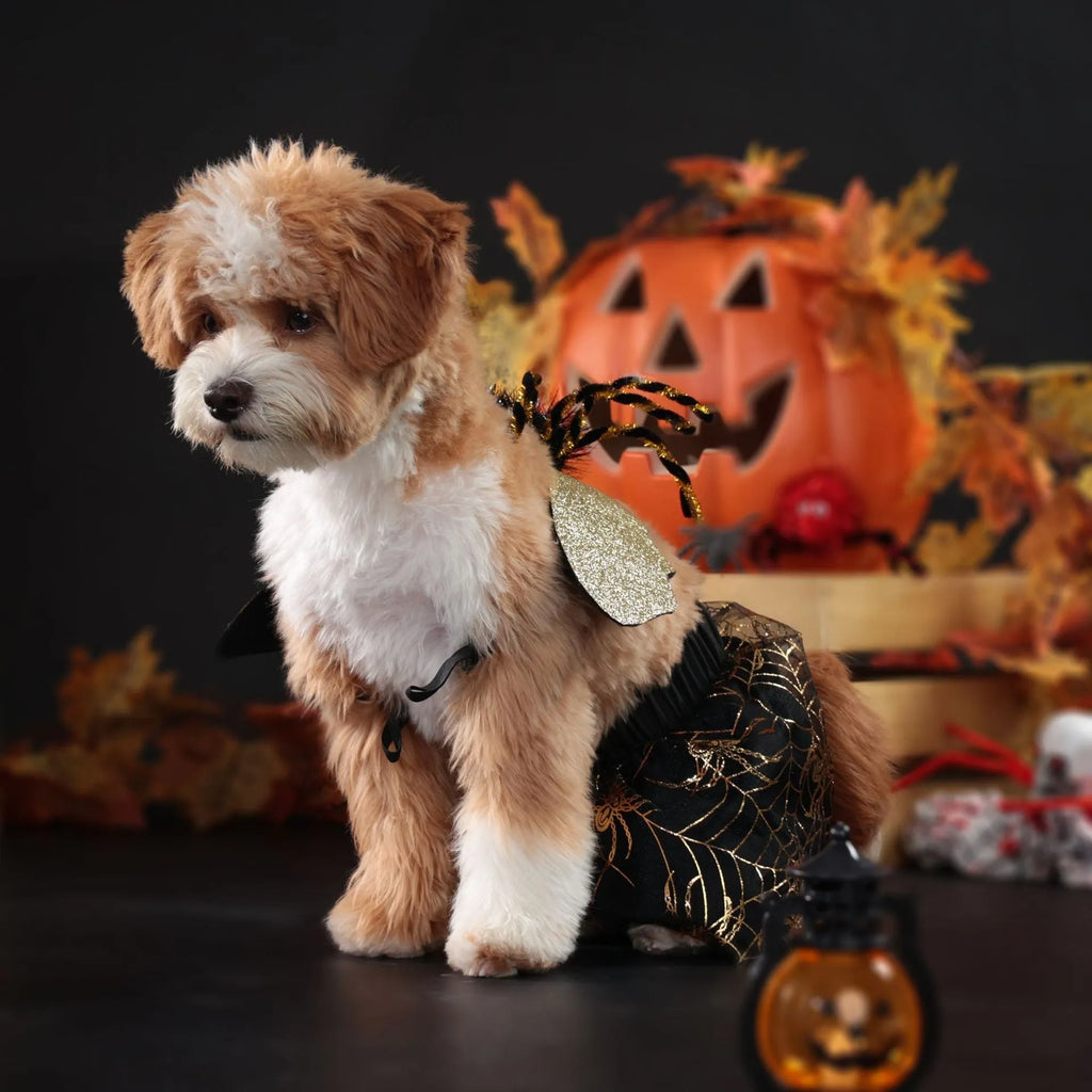 Polyester dog suit costume in classic suit colour, shown in size options S, M, L, XL for Halloween.