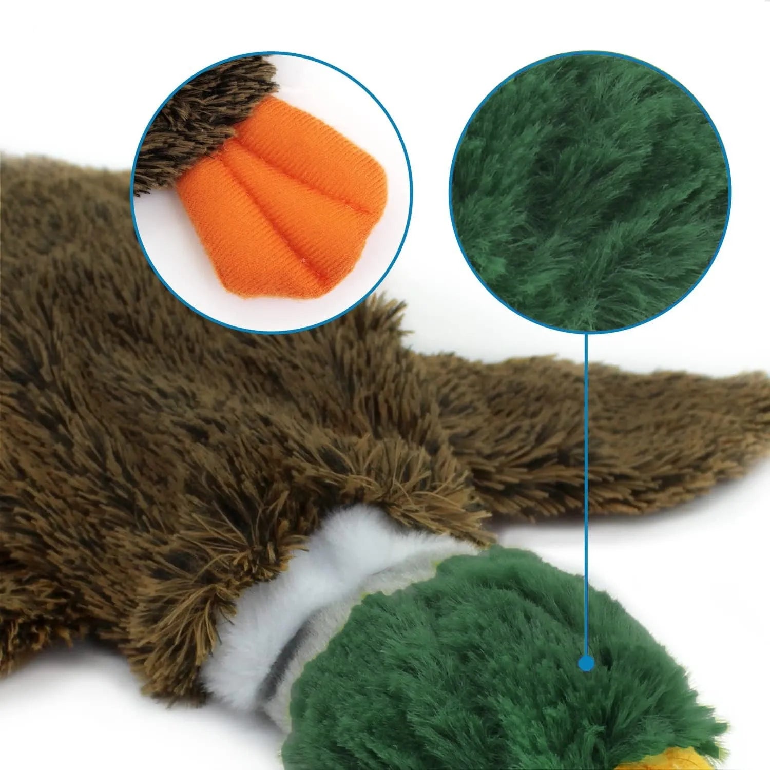 Green soft plush wild duck dog toy with no stuffing and a bottom fastener.