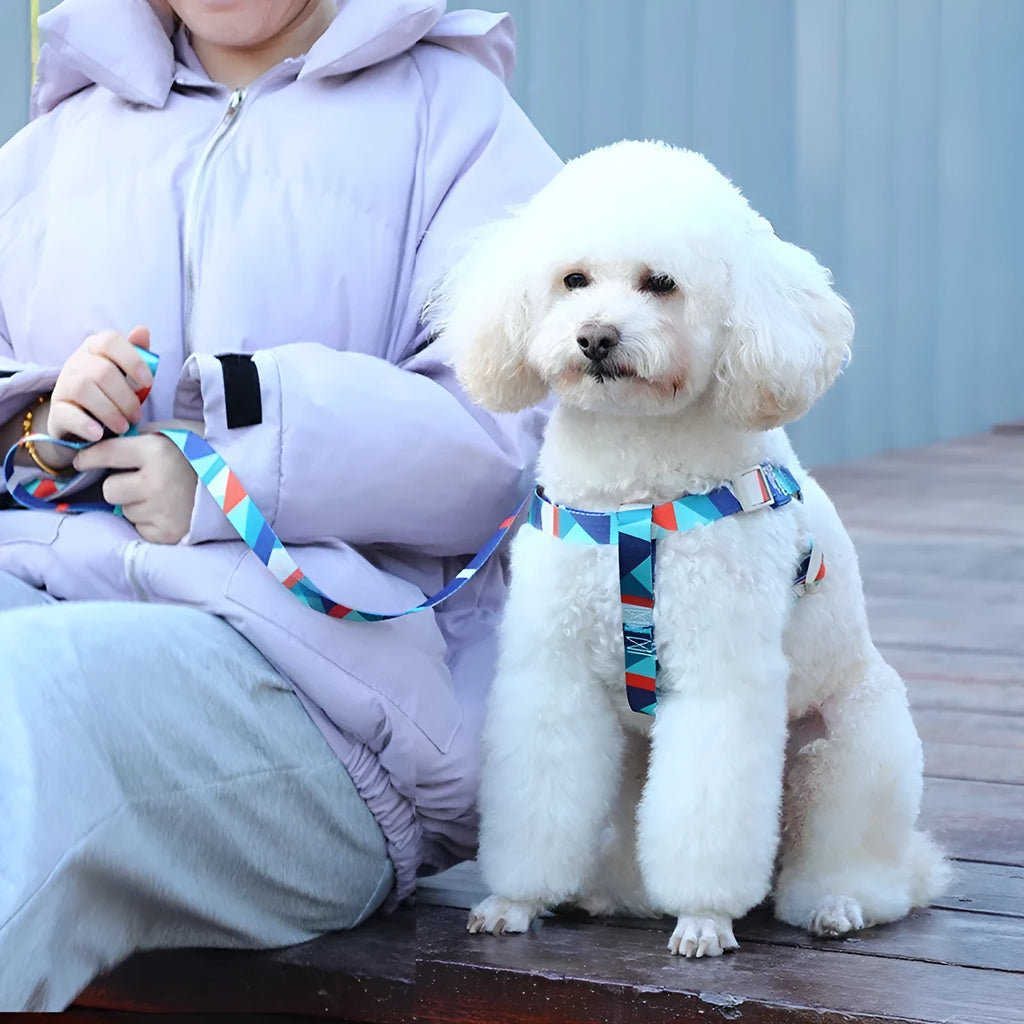 Dog harness and leash set in polyester fabric showing blue, pink and green colour options