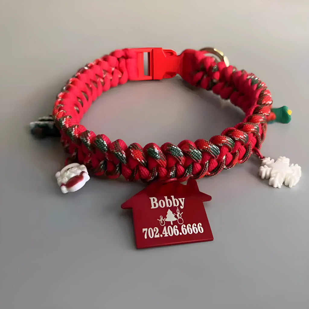 Green hand holding rope dog leash with P chain attachment and zinc alloy release buckle