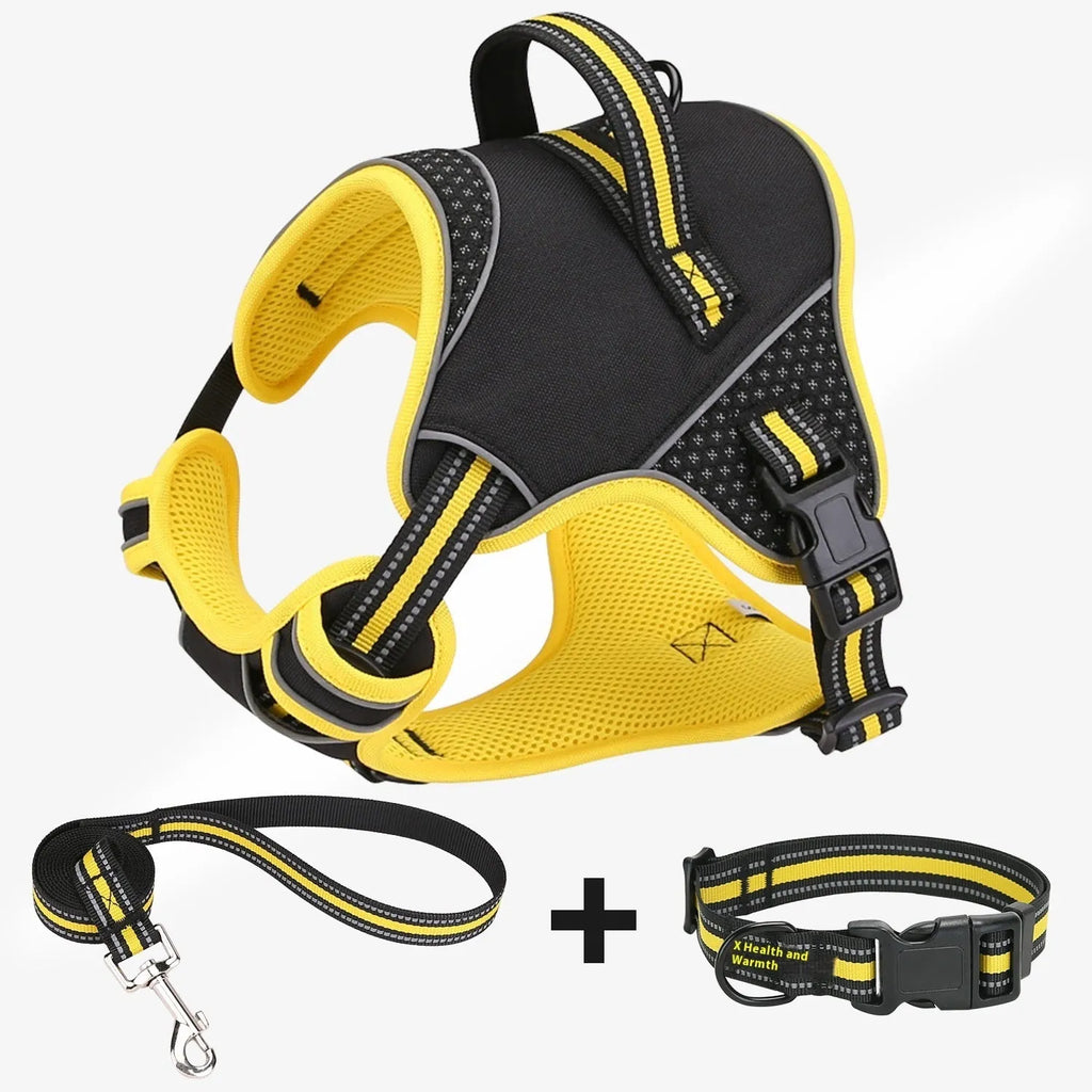 Yellow and orange polyester dog harness and traction strap set for outdoor training, shown in S, M, L sizes.