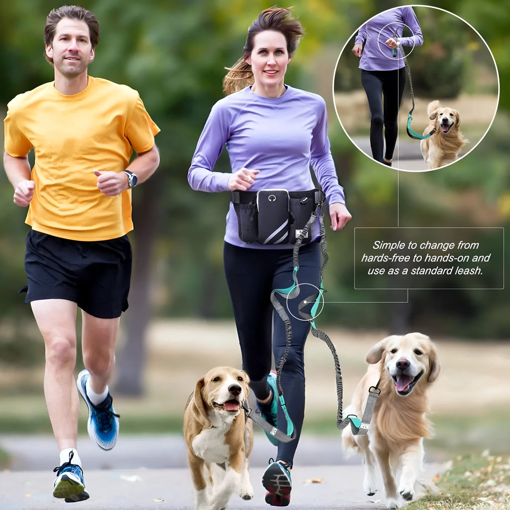 Black waterproof nylon pet training waist bag with dog leash and collar set for outdoor use