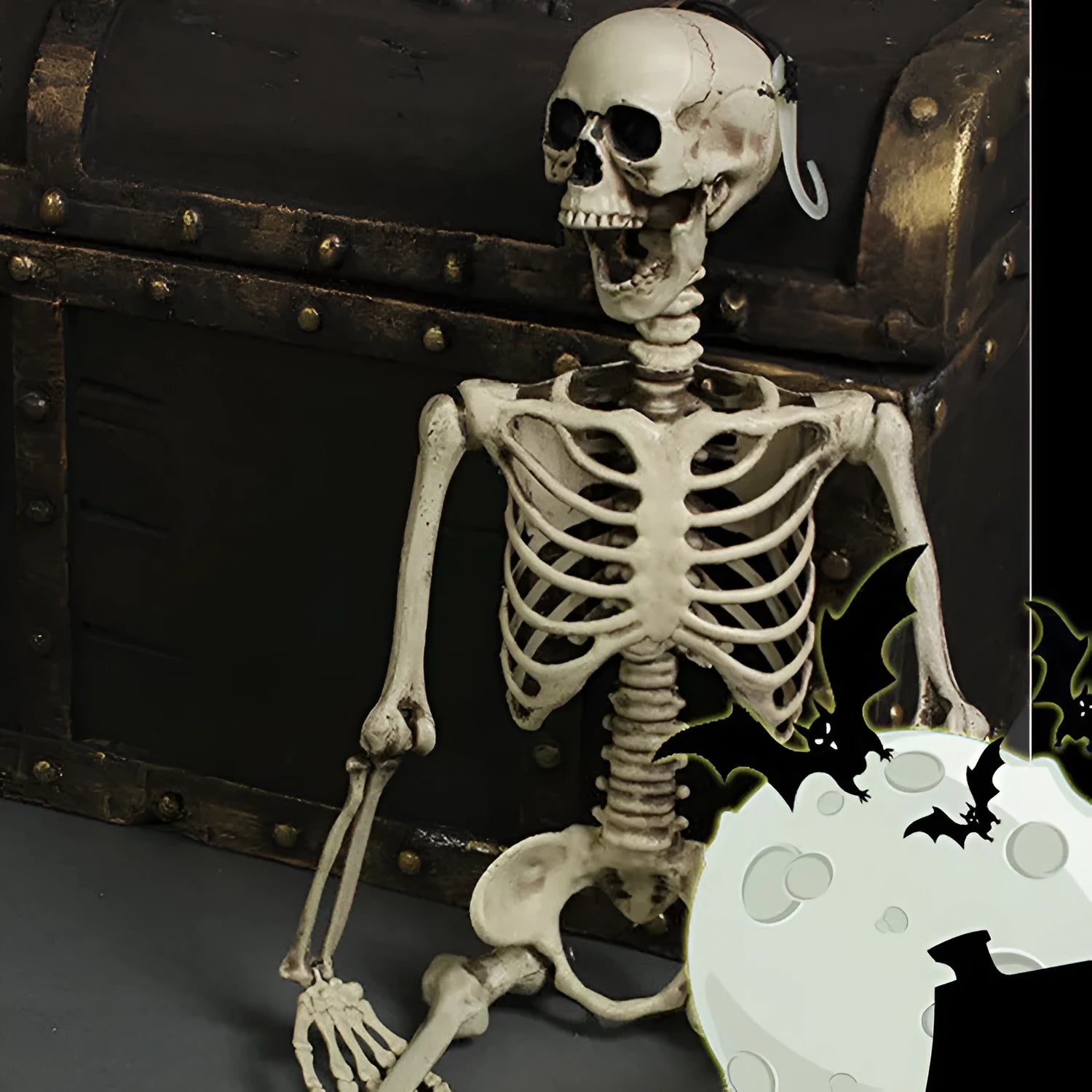 Full-length plastic skeleton prop standing at 170 cm height with detailed skull.