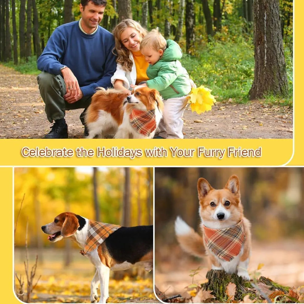 Plaid triangle dog bandana with tassel edges in autumn colours like brown, green, and orange.